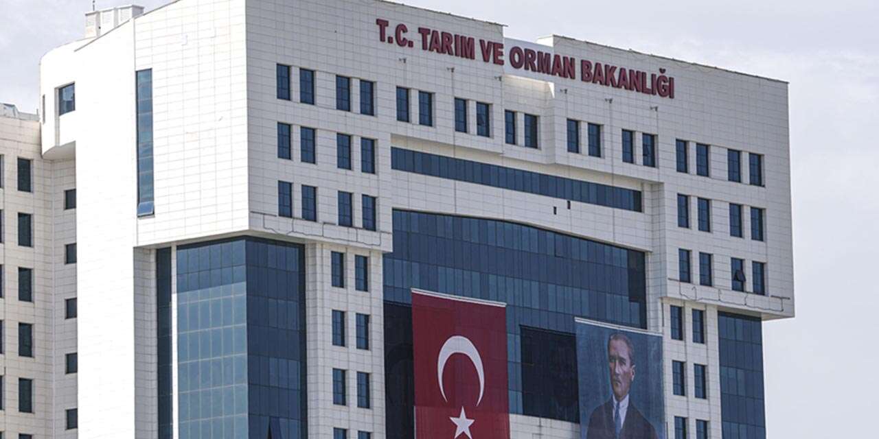 Orman Genel Müdürlüğü Sözleşmeli personel alacak