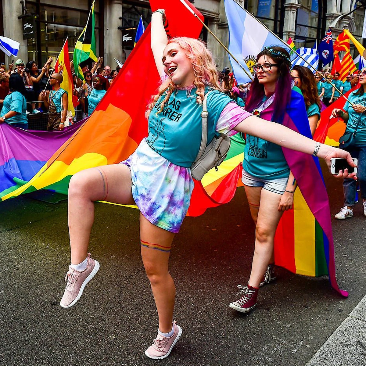 LGBT toplum ahlakımıza, örf ve adetlerimize, aile değerlerimize örtüşmüyor 