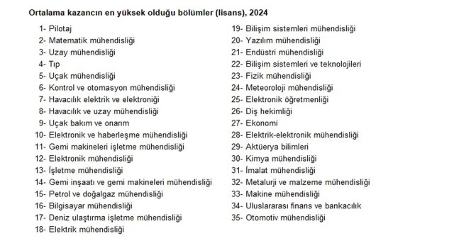 TÜİK açıkladı: İşte en çok para kazandıran meslekler