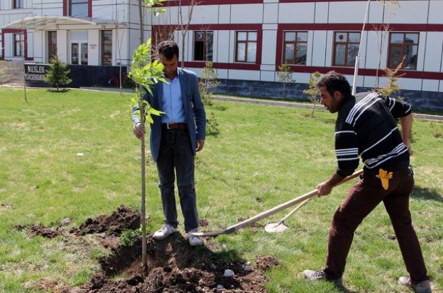 AĞRI İBRAHİM ÇEÇEN ÜNİVERSİTESİ'NDE 15 BİN AĞAÇ TOPRAKLA BULUŞTU