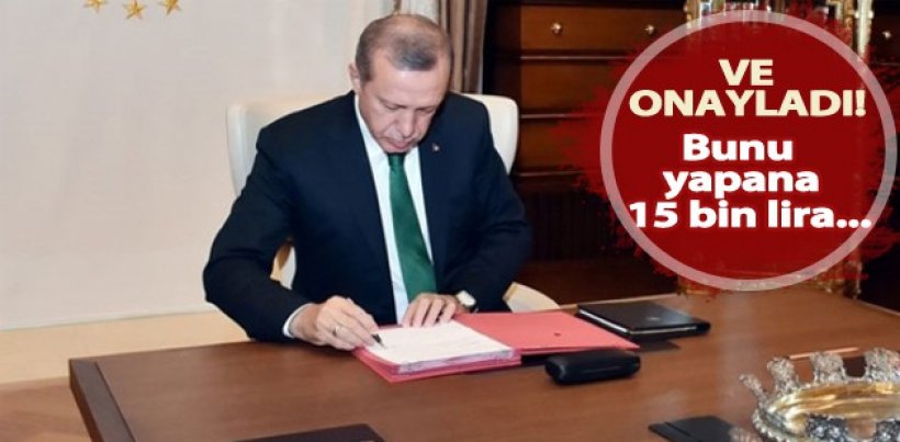 Erdoğan yasayı onayladı! Bunu yapan 15 bin lira ceza alacak
