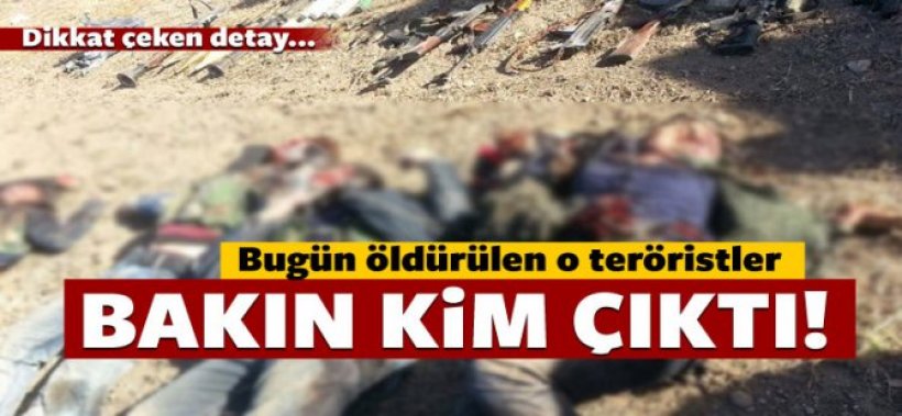 Öldürülen teröristler PYD'li çıktı