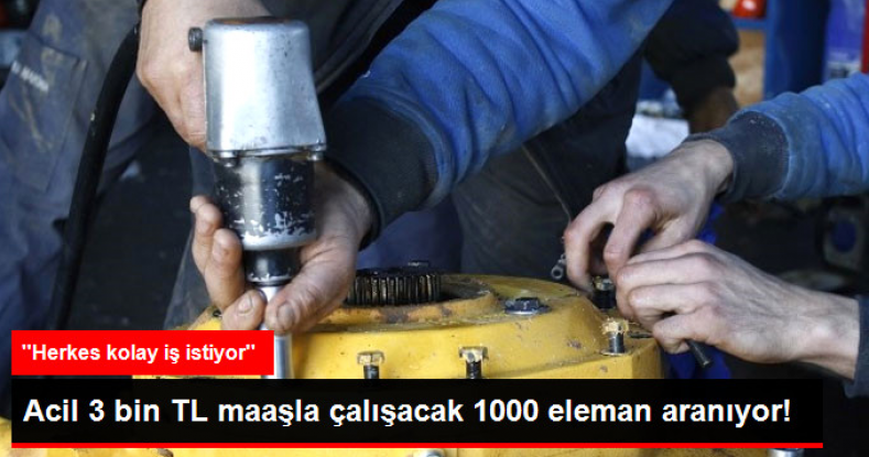 3 Bin TL Maaşla Çalışacak 1000 Nitelikli Eleman Arıyorlar