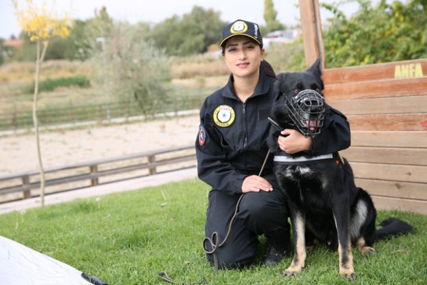 Özel güvenlik görev köpeklerinin zorlu sınavı