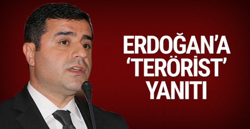 Demirtaş’tan kendisine ‘terörist’ diyen Erdoğan’a: O hakareti aynen iade ederim