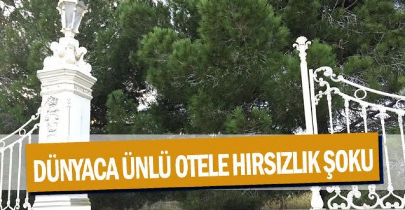 Dünyaca Ünlü Otele Hırsızlık Şoku otel güvenlik görevlisi fark eti 