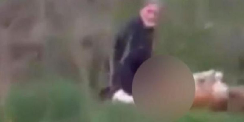 Köpeğe tecavüz ettiği iddia edilen yaşlı adam gözaltına alındı rızası var' diye savunma yaptı.