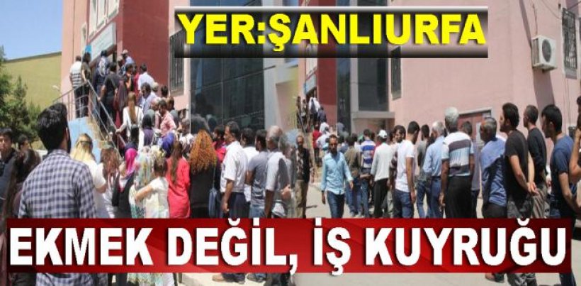 TYP kapsamında, 2 bin 54 işçinin 6 ay süreyle istihdam edileceği işe 6 bin kişi başvurdu.