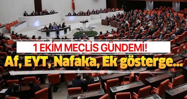 1 Ekim Meclis gündemi! Af, Nafaka, EYT, Taşeron işçi, 3600 ek gösterge ve kıdem tazminatı çıktı mı, son durum!.