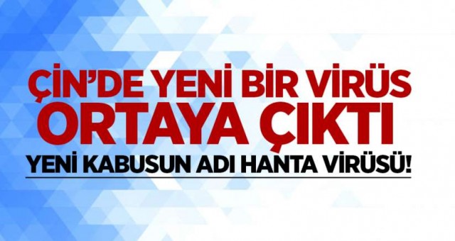 Çin’de ‘hanta virüs’ nedeniyle bir kişi hayatını kaybetti (Hanta virüs nedir?)