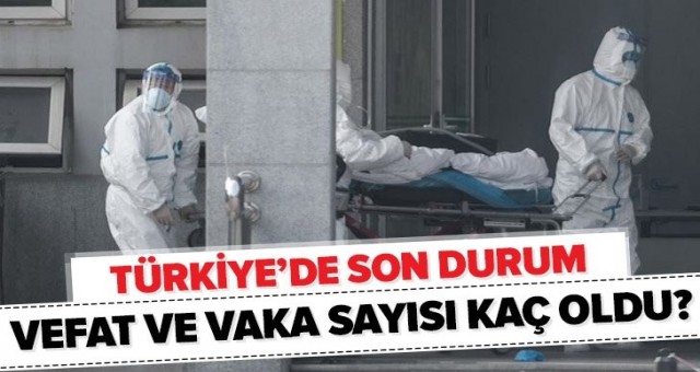 Türkiye'de Koronavirüs sayısı