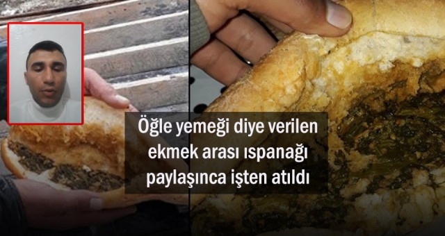 Öğle yemeği diye verilen ekmek arası ıspanağı paylaşınca işten atıldı