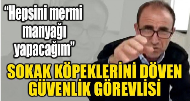 Sokak köpeklerini döven özel güvenlik görevlisi