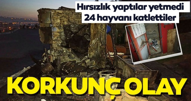 Son dakika korkunç olay! Hırsızlık yaptılar yetmedi, 24 hayvanı katlettiler