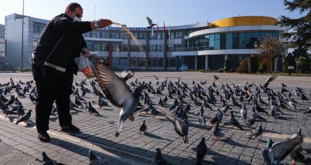 Düzceliler evde kalınca güvenlik besledi