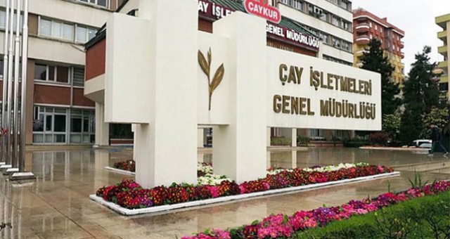 Çay İşletmeleri 500 geçici işçi alacak