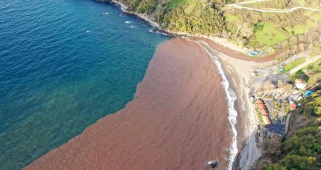 Zonguldak'ta denizin rengi değişti