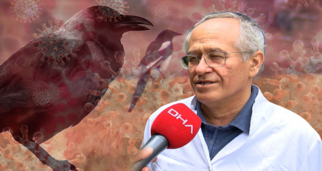 İstanbul'da Batı Nil virüsü endişesi! 'Ateş, eklem, kas ağrısı yapıyor