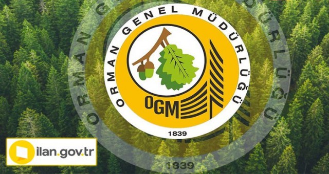 Orman Genel Müdürlüğü Geçici 5000 İşçi alacak