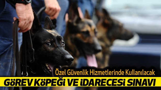 Özel Güvenlik Hizmetlerinde Kullanılacak Görev Köpeği Ve İdarecesi Sınavı