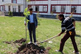 AĞRI İBRAHİM ÇEÇEN ÜNİVERSİTESİNDE 15 BİN AĞAÇ TOPRAKLA BULUŞTU