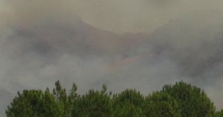 Bodrumda makilik alanda yangın çıktı
