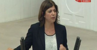 HDP, OHALe Hayır oyu kullanacak