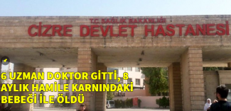 Şırnakta 8 aylık hamile yoğun bakımda hayatını kaybett