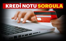 E Devlet'ten risk merkezi raporu alma, kredi limit ve borç bilgileri öğrenme işlemleri başladı