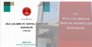 Bakanlığın makam aracı, eski bakanlara, eşlerine, danışmanlarına tahsis edildi